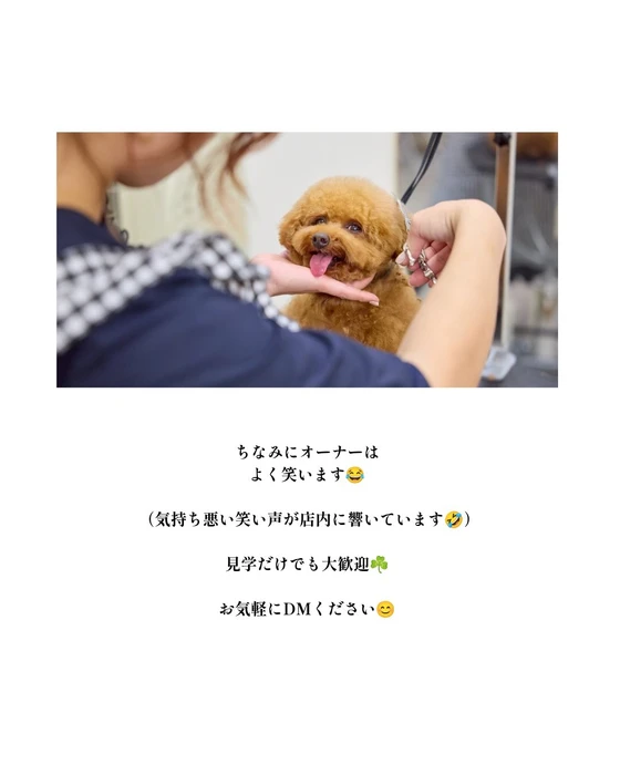 画像1737