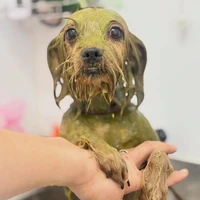 画像1886
