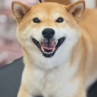 画像2137
