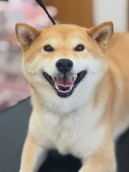 画像2137