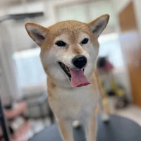 画像2142