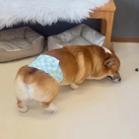 画像2458