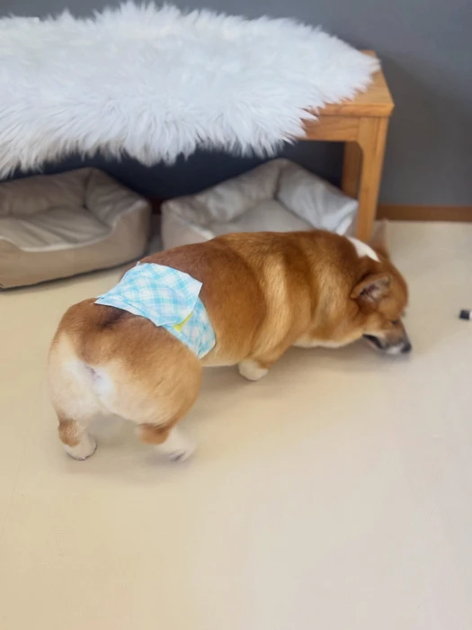 画像2458
