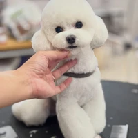 画像2524