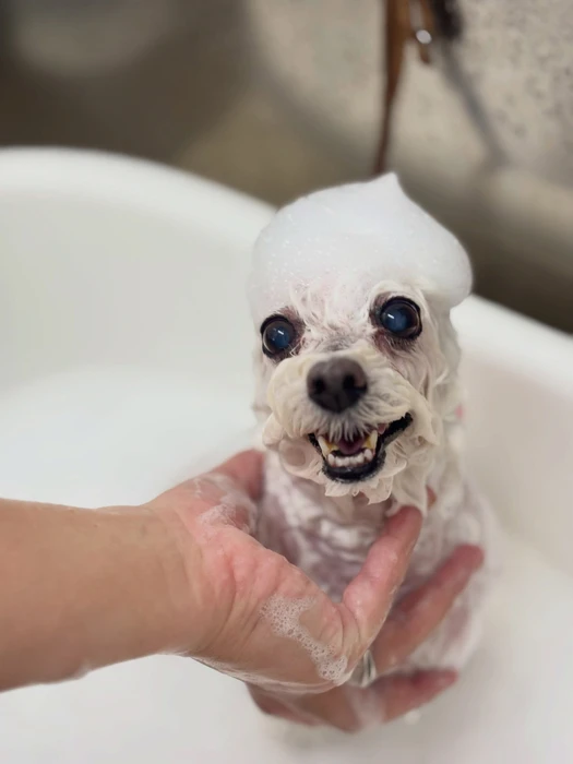 画像2546