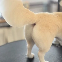 画像2703