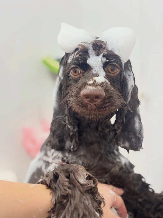 画像2713