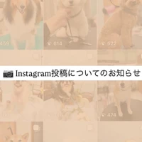 画像2822