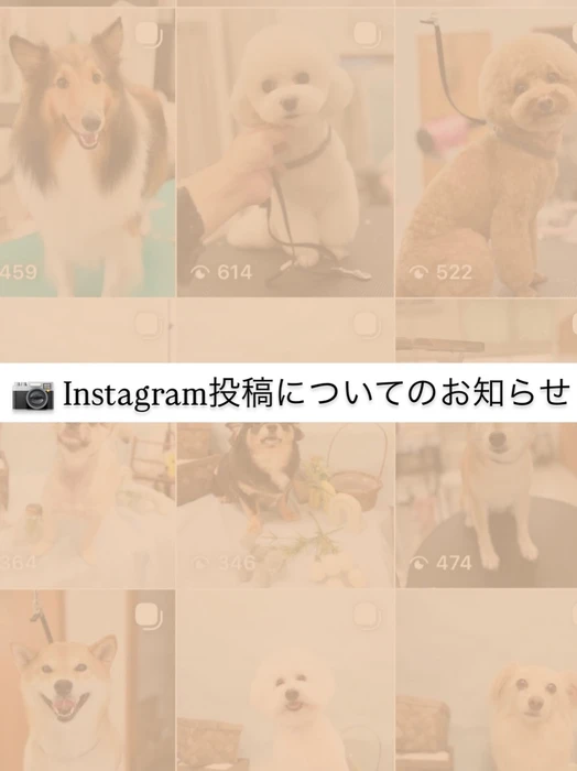 画像2822