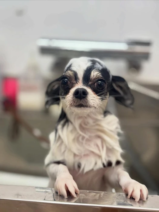 画像330