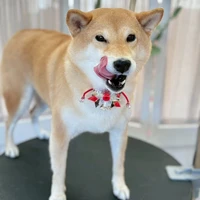 画像349