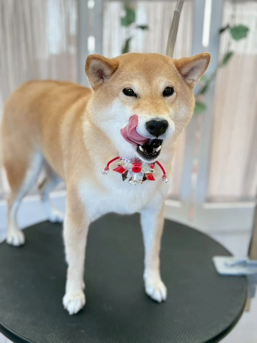 画像349