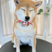 画像353