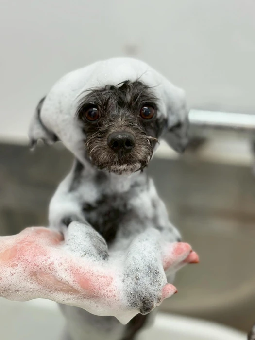 画像628