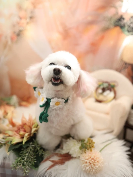 画像645