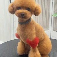 画像830