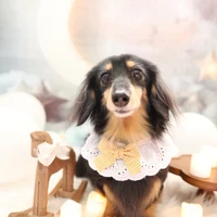 画像857