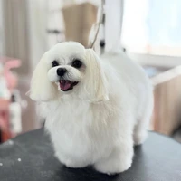 画像901